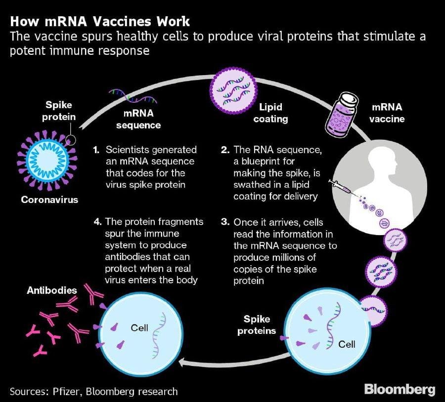 Covid 19 Vaccines